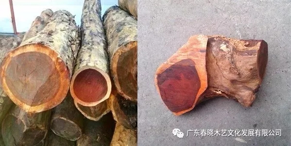 血檀和小葉紫檀到底有多像？（圖文并茂）(圖1)