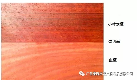 血檀和小葉紫檀到底有多像？（圖文并茂）(圖3)