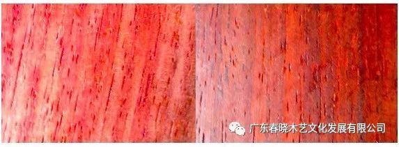 血檀和小葉紫檀到底有多像？（圖文并茂）(圖4)