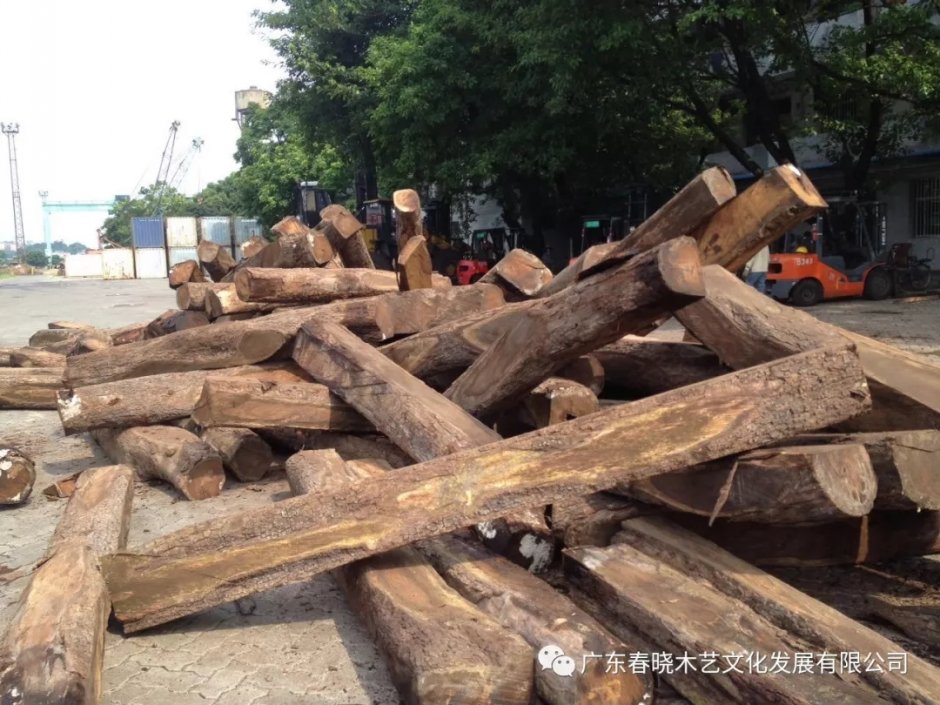 實(shí)木的價(jià)格，紅木的材質(zhì)，刺猬紫檀值得你擁有！(圖3)