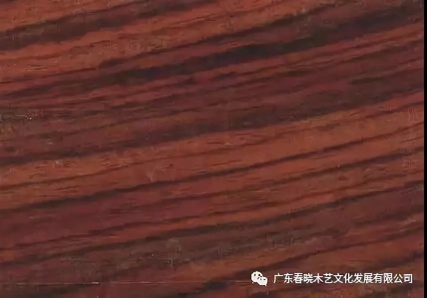 你真的了解酸枝嗎？只是那些俗稱就能把你弄暈頭了(圖2)